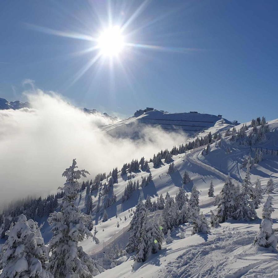 Luxury Chalet Mauthner Alm Kotschach-Mauthen Exterior foto
